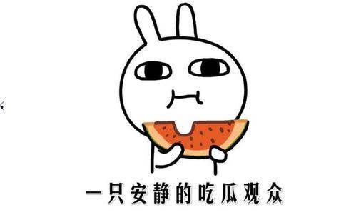 娱乐吃瓜名字怎么取的呀,揭秘“娱乐吃瓜”名字背后的趣味与智慧